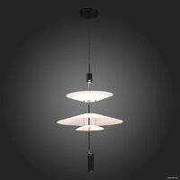 Подвесная люстра ST Luce SL6101.413.01