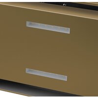 Кухонная вытяжка MAUNFELD Bath Plus 402IL (золотой)