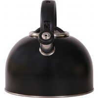 Чайник со свистком Willmark WTK-4810SS 2001460