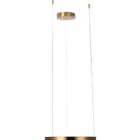 Подвесная люстра LOFT IT Ring 10013S