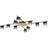 Припотолочная люстра Lumion Benua 8304/10C