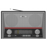 Радиоприемник Ritmix RPR-102 (карбон)