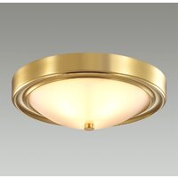 Припотолочная люстра Lumion Nina 5259/2C