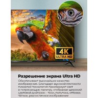 Телевизор MAUNFELD MLT43USD02
