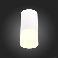 Припотолочная люстра ST Luce ST100.512.01