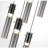 Подвесная люстра Odeon Light Scrow 5058/25L
