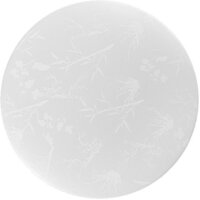 Светильники, люстры, бра, споты General Lighting Plant GSMCL-020-18 800260