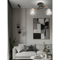 Припотолочная люстра Aitin Pro НПБ 02-2x60-101 8245/2 (черный/хром)