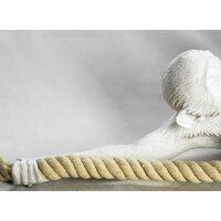 Подвесная люстра Lussole Loft Hicksville GRLSP-9993