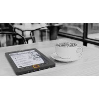 Электронная книга Ritmix RBK-678FL