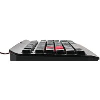 Клавиатура A4Tech Bloody Q100