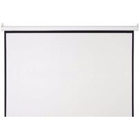 Проекционный экран Future Vision Video 200x150 W200VMW