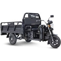 Грузовой электроскутер Rutrike D4 1800 60V 1500W (черный)