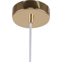 Подвесная люстра F-Promo Sheen 2758-1P