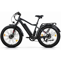Электровелосипед Eltreco BigCat Dual Next (черный)