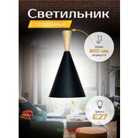 Подвесная люстра TruEnergy 21470 (черный)