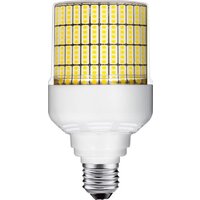 Светодиодная лампочка CPS T75-C-30W-E27 5000К