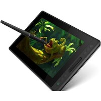 Графический монитор Huion Kamvas Pro 12 GT-116