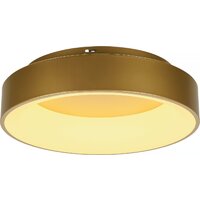 Припотолочная люстра Myfar Shannon MR2195-1PL