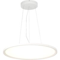 Подвесная люстра ST Luce ST602.543.56