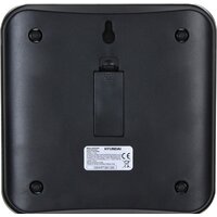 Кухонные весы Hyundai HYS-KG421