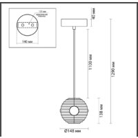 Подвесная люстра Odeon Light Troni 5041/12L