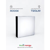 Припотолочная люстра TruEnergy 11169