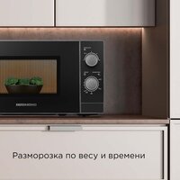 Микроволновая печь Redmond (Редмонд) MW2903