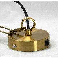 Подвесная люстра Lussole Loft LSP-9556