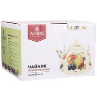 Чайник без свистка Agness Секретные ингредиенты 934-422