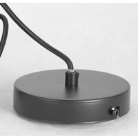 Припотолочная люстра Lussole Lgo Strawberry GRLSP-8211