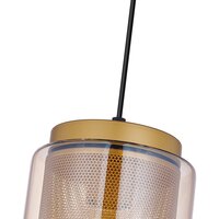 Подвесная люстра F-Promo 4346-1P