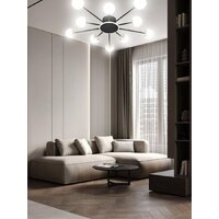 Припотолочная люстра Aitin Pro L73058/10C (черный/хром)