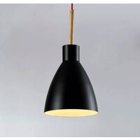Подвесная люстра Moderli Toni V1281-1P