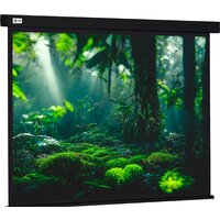 Проекционный экран CACTUS Wallscreen 213x213 CS-PSW-213X213-BK
