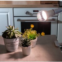 Светодиодная лампочка Uniel LED-A60-10W/SPFB/E27/CL PLP30WH UL-00007404