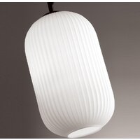Подвесная люстра Odeon Light Roofi 4752/1