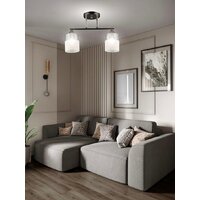 Люстра средней высоты Aitin Pro НПБ 02-2x60-101 A4409/2 (черный/золото)