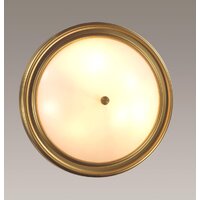Припотолочная люстра Lumion Nina 5259/3C