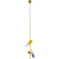 Подвесная люстра LOFT IT Matisse 10008/2P mult
