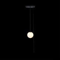 Подвесная люстра LOFT IT Signal 10029PS Black