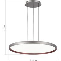 Припотолочная люстра ST Luce SL6015.413.01