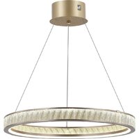 Подвесная люстра Myfar Willem MR2540-1PL