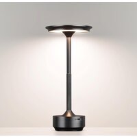 Настольная лампа Odeon Light Tet-A-Tet 5034/6TL