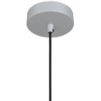 Подвесная люстра Favourite Otium 2270-1P