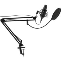Проводной микрофон Ritmix RDM-180