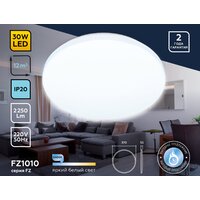 Светильник-тарелка Ambrella light FZ1010