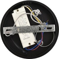 Подвесная люстра Lumion Kava 8371/40L