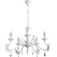 Подвесная люстра Arte Lamp Angelina A5349LM-5WH