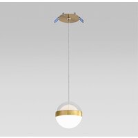 Подвесная люстра Odeon Light Roni 5036/12L